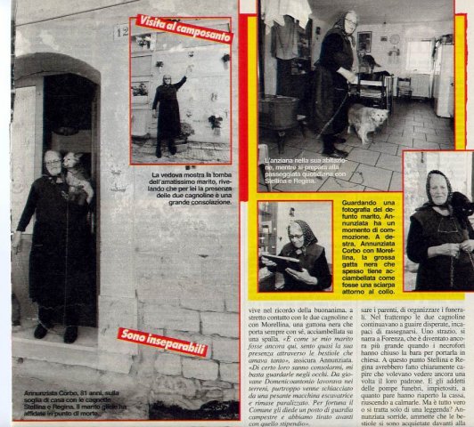 forenza mistero 3 nov2008